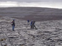 burren
